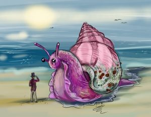 Steve Dean on Great Pink Sea Snail